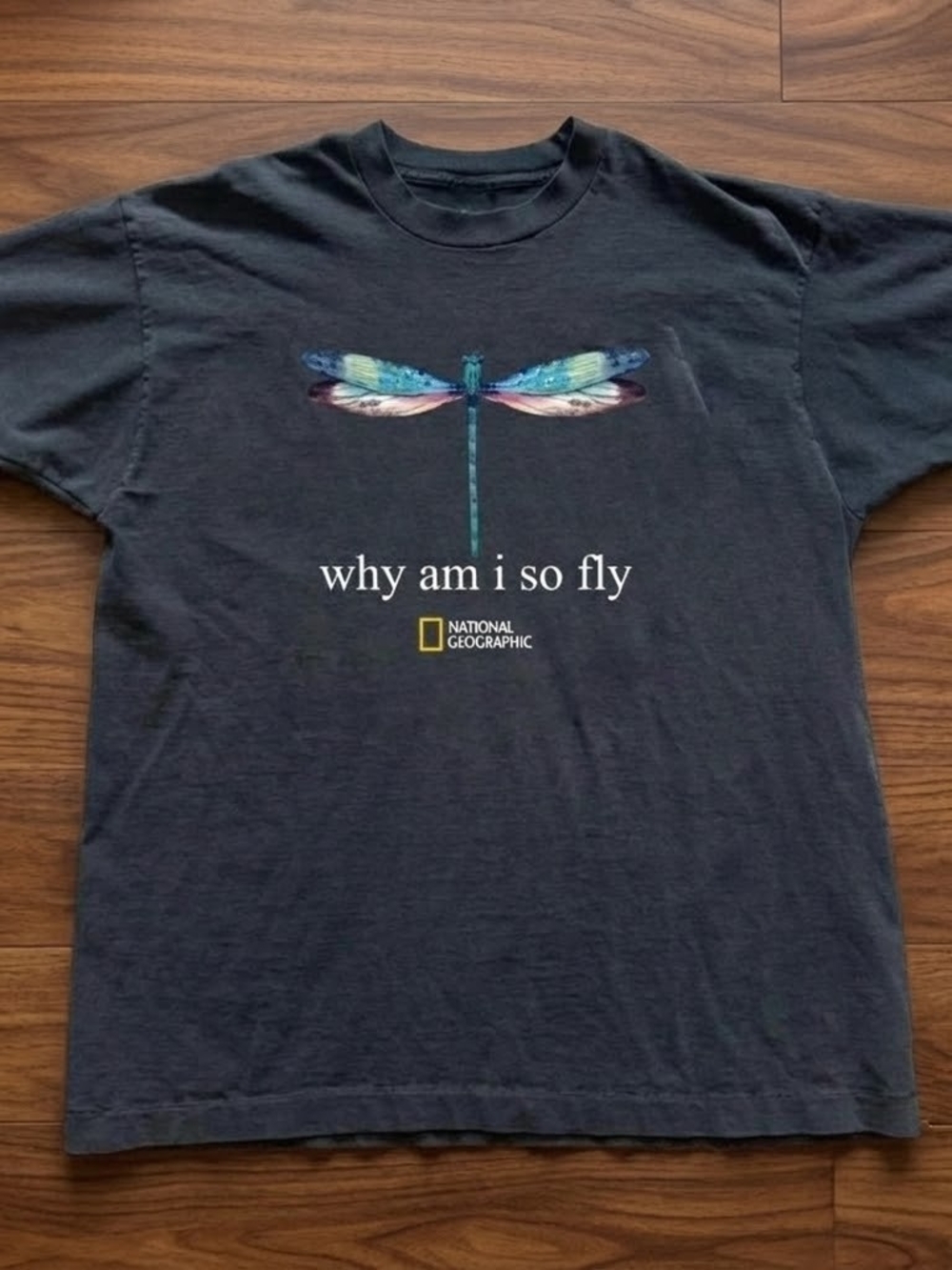 National Geographic "Why Am I So Fly" Dragonfly Graphic Tee - Black